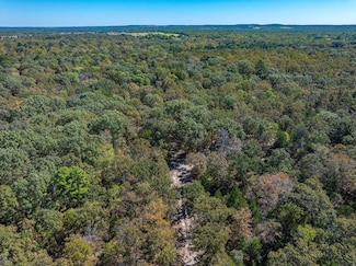 5205 Fm 279, Ben Wheeler, TX 75754