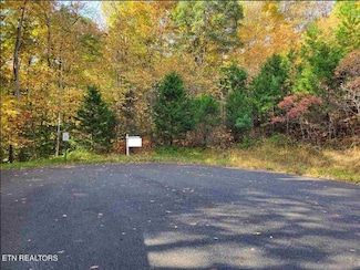Lot 540 Mystic Star Dr, New Tazewell, TN 37825