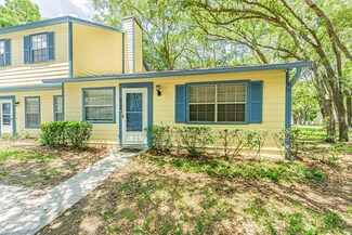 602 Ole Plantation Dr, Brandon, FL 33511