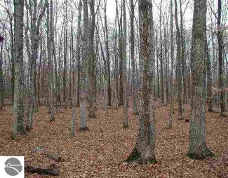 B W Cheney Woods Trail, Maple City, MI 49664