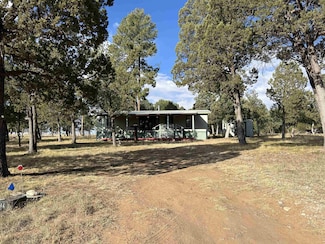 16 Coshacion Dr, Cloudcroft, NM 88350