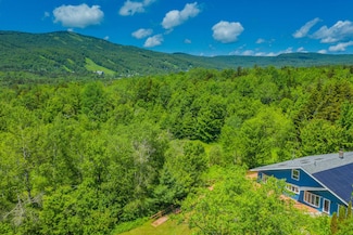 55 Joan's Ridge Rd, Dover, VT 05356