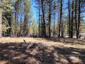 110 E Prospectors Dr, Cascade, ID 83611