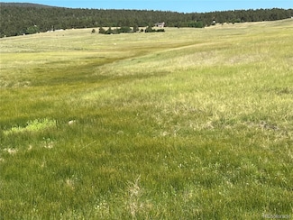 0 Ranch Rd Unit 2 REC9468546, Hartsel, CO 80449