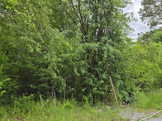 00 County Road 101, Riceville, TN 37370
