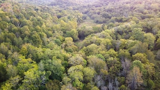 2 McBurg Dellrose Rd, Dellrose, TN 38453