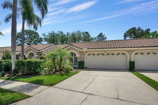 3826 Muirfield Ct, Palm Harbor, FL 34685