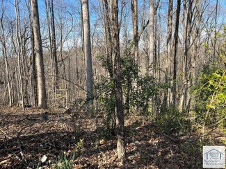 14 Shumate Dr, Collinsville, VA 24078