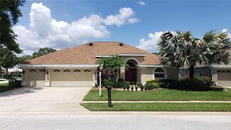 4699 Gilronan Ct, Palm Harbor, FL 34685