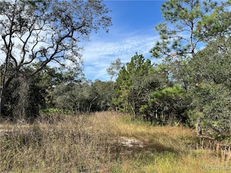 1680 S Rock Crusher Rd, Homosassa Springs, FL 34448