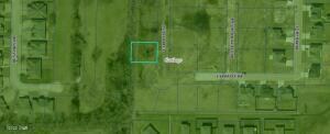 Lot 21 Phelps 9th Addition, Carthage, MO 64836
