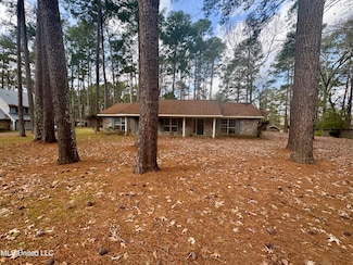 13 Rob Ln, Jackson, MS 39212
