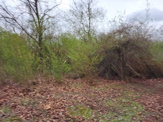 0 County Road 1058, Vinemont, AL 35179