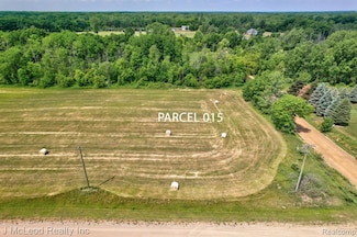Parcel A Centennial Ln, Forest Township, MI 48746
