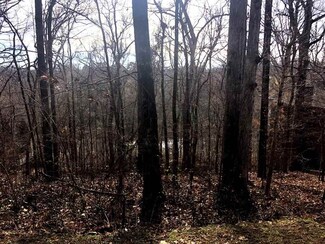 Lot 18 Creekside Dr, Florence, AL 35630