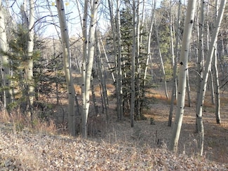 430 Pinon Ln, Florissant, CO 80816