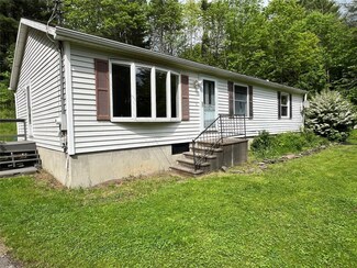 147 Beartown Rd, Port Crane, NY 13833