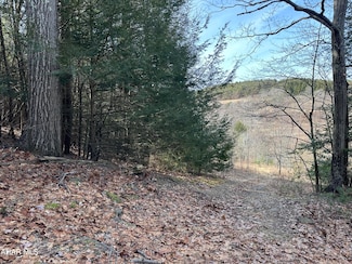 00 Carrs Hill, Clearfield, PA 16830