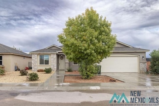 1100 Chitalpa Ct, Carlsbad, NM 88220