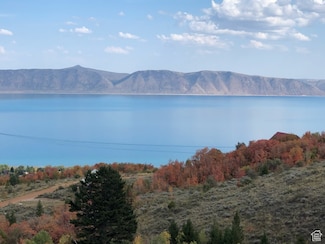 687 Calamity Dr Unit 402, Fish Haven, ID 83287