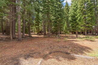 11004 Innsbruck Ave, Truckee, CA 96161