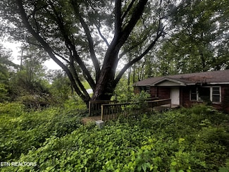 209 Stephens Ln, Jamestown, TN 38556