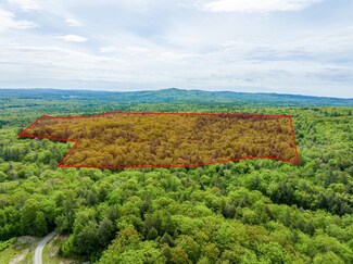 0 Frank C Gilman Hwy Unit 4939404, Alton, NH 03809