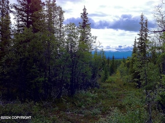 B4 - L4 Jude No Rd, Glennallen, AK 99588