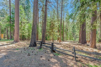 6134 Kokanee Ln, Pollock Pines, CA 95726