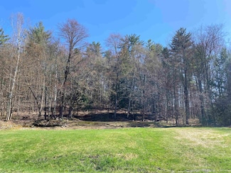 276 Dutton District Rd, Springfield, VT 05156