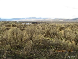 0 Lot 45 W Coyote Rd Unit NWM2316023, Ephrata, WA 98823