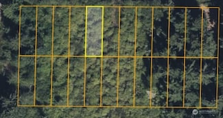 1610 147th Place, Long Beach, WA 98631