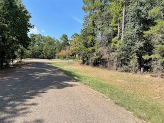 TBDDD E Moonlight Dr, Onalaska, TX 77360