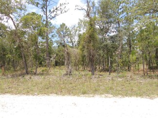 50 SE 145 Ct, Williston Highlands, FL 32696