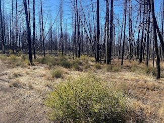 0 White Birch Way Unit 25312909, Bly, OR 97622