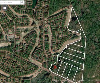 Tract 1 Peach Orchard Rd, Wagram, NC 28396