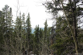 Group 5 Lamartine Rd, Idaho Springs, CO 80452