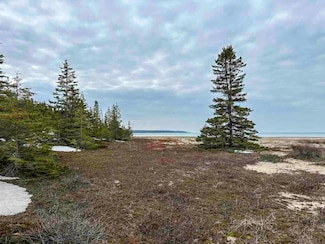 TBD Mrs Reddings Trail Unit Parcel 5, Beaver Island, MI 49782