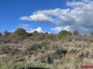 Lot 15 Primrose Ln, Bayfield, CO 81122