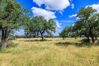 Stock Pond Dr Unit 94, Harper, TX 78631