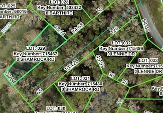 0 Shamrock Rd, Ridge Manor, FL 33523