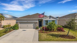 4110 Mossy Limb Ct, Palmetto, FL 34221