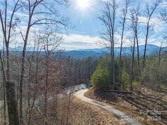 00 Rock Ledge Dr Unit 223, Lake Lure, NC 28746