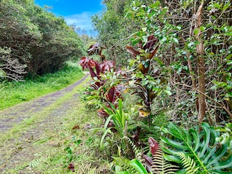 0 Molokai St Unit 722525, Pahoa, HI 96778