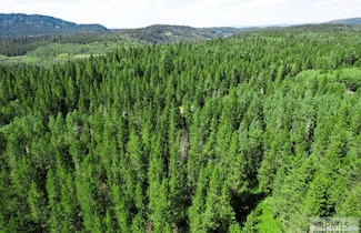 tbd Hannah's Crossing, Ashton, ID 83420