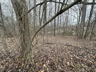 9 Ginger Dr, Dover, TN 37058