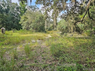 6904 W Ray Ct, Homosassa Springs, FL 34448