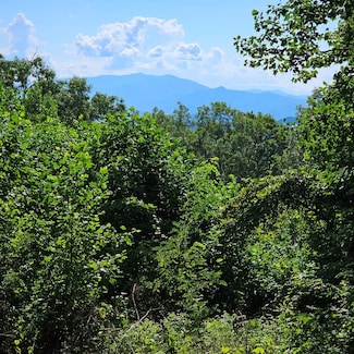 2 Pigeon Creek Rd, Bryson City, NC 28713