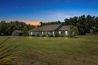 11307 Wagon Trail Run, Lithia, FL 33547