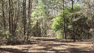 14.43 Acres Cr 434, Chireno, TX 75937